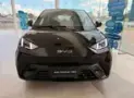 BYD Dolphin Mini - Miniatura 8