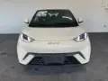BYD Dolphin Mini - Miniatura 2