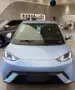 BYD Dolphin Mini - Miniatura 2