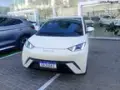 BYD Dolphin Mini - Miniatura 2