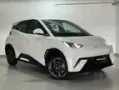 BYD Dolphin Mini - Miniatura 3