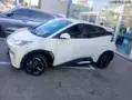 BYD Dolphin Mini - Miniatura 1
