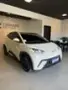 BYD Dolphin Mini - Miniatura 4