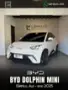 BYD Dolphin Mini - Miniatura 1