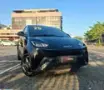 BYD Dolphin Mini - Miniatura 1
