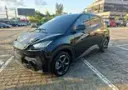 BYD Dolphin Mini - Miniatura 3