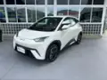 BYD Dolphin Mini - Miniatura 3