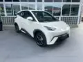 BYD Dolphin Mini - Miniatura 1