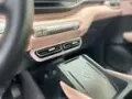 BYD Dolphin Mini - Miniatura 10
