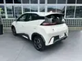 BYD Dolphin Mini - Miniatura 13