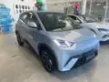BYD Dolphin Mini - Miniatura 1