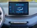 BYD Dolphin Mini - Miniatura 10