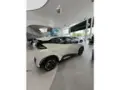 BYD Dolphin Mini - Miniatura 2