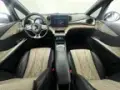 BYD Dolphin - Miniatura 16
