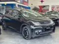 BYD Dolphin Mini - Miniatura 1