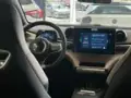 BYD Dolphin Mini - Miniatura 17
