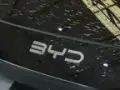 BYD Dolphin Mini - Miniatura 14