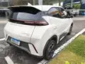BYD Dolphin Mini - Miniatura 5