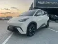 BYD Dolphin Mini - Miniatura 2