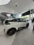 BYD Dolphin Mini - Miniatura 2