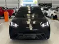 BYD Dolphin Mini - Miniatura 1