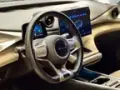 BYD Dolphin - Miniatura 4