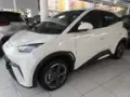 BYD Dolphin Mini - Miniatura 2