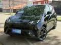 BYD Dolphin - Miniatura 1