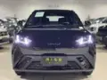 BYD Dolphin Mini - Miniatura 4
