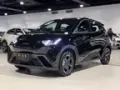 BYD Dolphin Mini - Miniatura 8