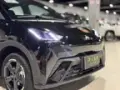 BYD Dolphin Mini - Miniatura 14