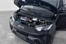 BYD Dolphin Mini - Miniatura 6