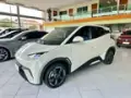 BYD Dolphin Mini - Miniatura 3