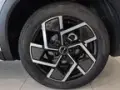 BYD Yuan Plus - Miniatura 9