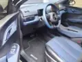 BYD Dolphin Mini - Miniatura 14