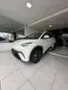 BYD Dolphin Mini - Miniatura 3