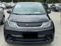 BYD Dolphin - Miniatura 1