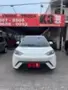 BYD Dolphin Mini - Miniatura 2
