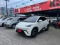 BYD Dolphin Mini - Miniatura 1