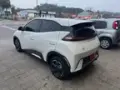 BYD Dolphin Mini - Miniatura 7