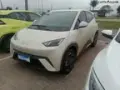 BYD Dolphin Mini - Miniatura 1