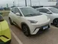 BYD Dolphin Mini - Miniatura 2