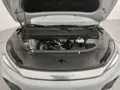 BYD Yuan Plus - Miniatura 10