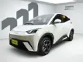 BYD Dolphin Mini - Miniatura 1