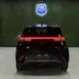 BYD Dolphin Mini - Miniatura 6
