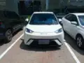 BYD Dolphin Mini - Miniatura 1