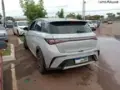 BYD Dolphin Plus - Miniatura 4