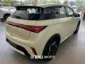 BYD Dolphin - Miniatura 1