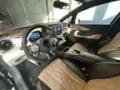 BYD Dolphin - Miniatura 7