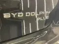 BYD Dolphin Plus - Miniatura 12